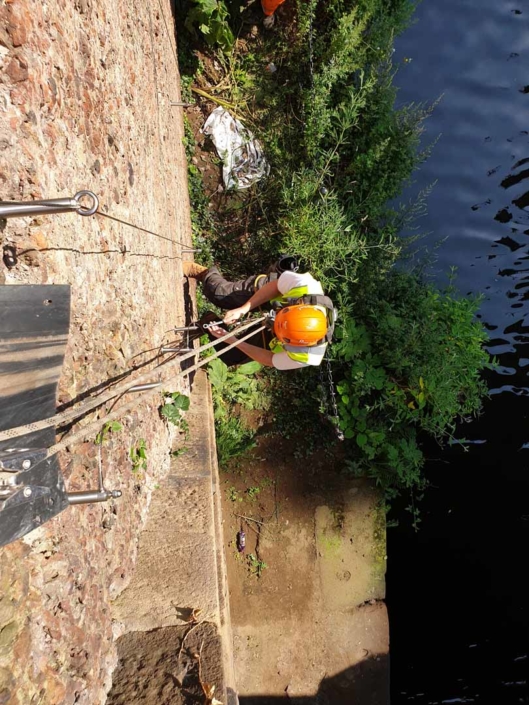 Rope Access Green Wall Installation Works - Manchester